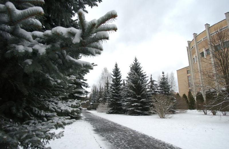 Snow-covered Path
